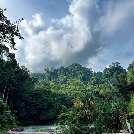 Charlys Little House Otel Bukit Lawang Dış mekan fotoğraf