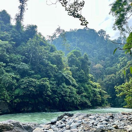Charlys Little House Otel Bukit Lawang Dış mekan fotoğraf