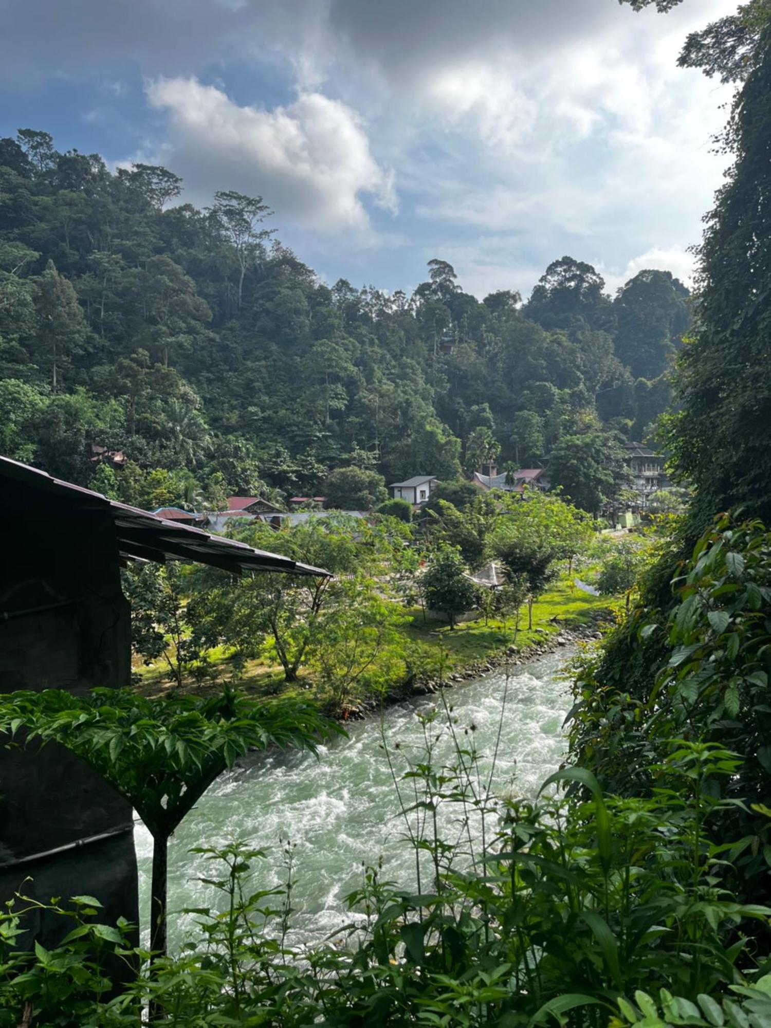 Charlys Little House Otel Bukit Lawang Dış mekan fotoğraf