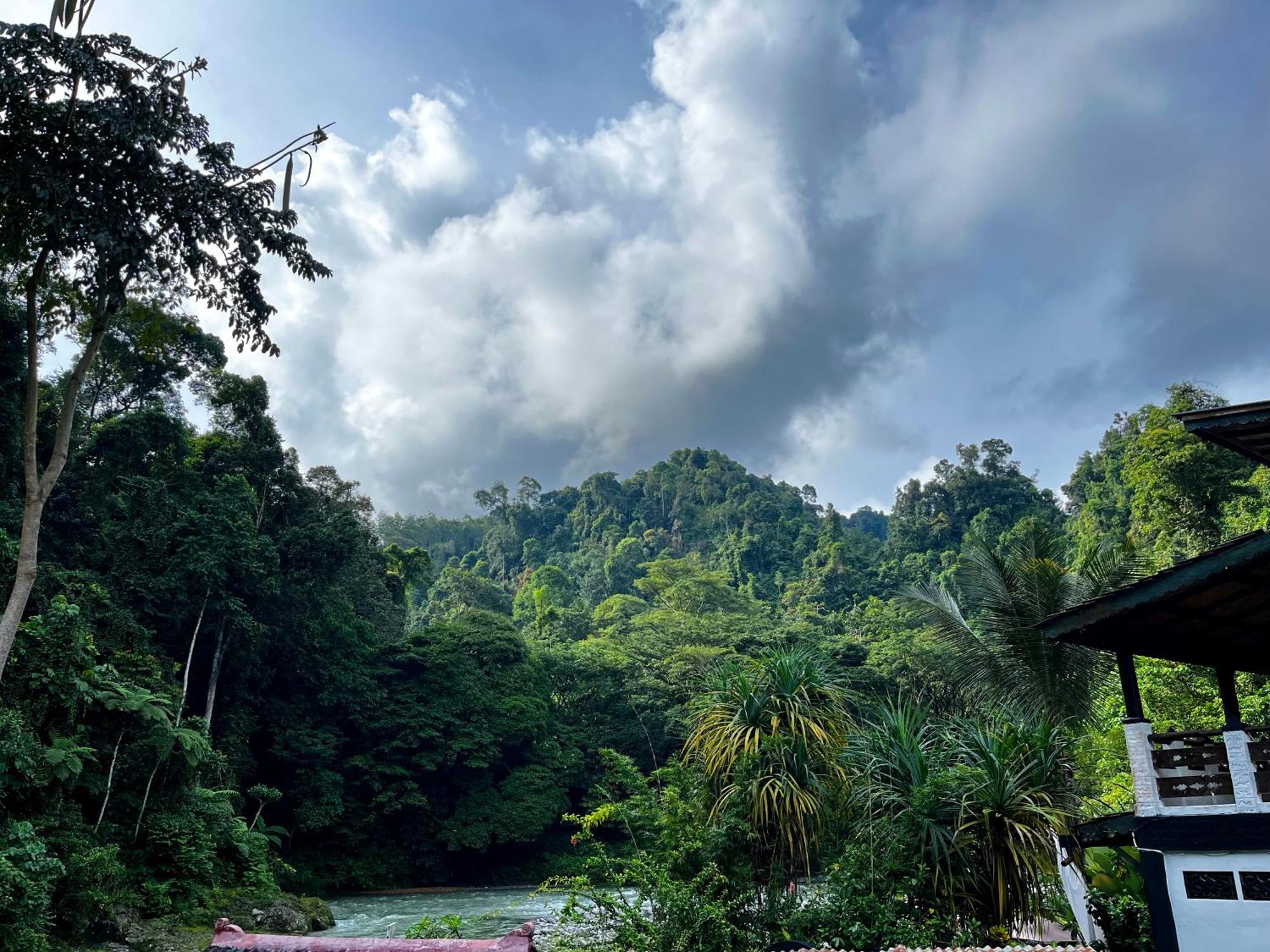 Charlys Little House Otel Bukit Lawang Dış mekan fotoğraf