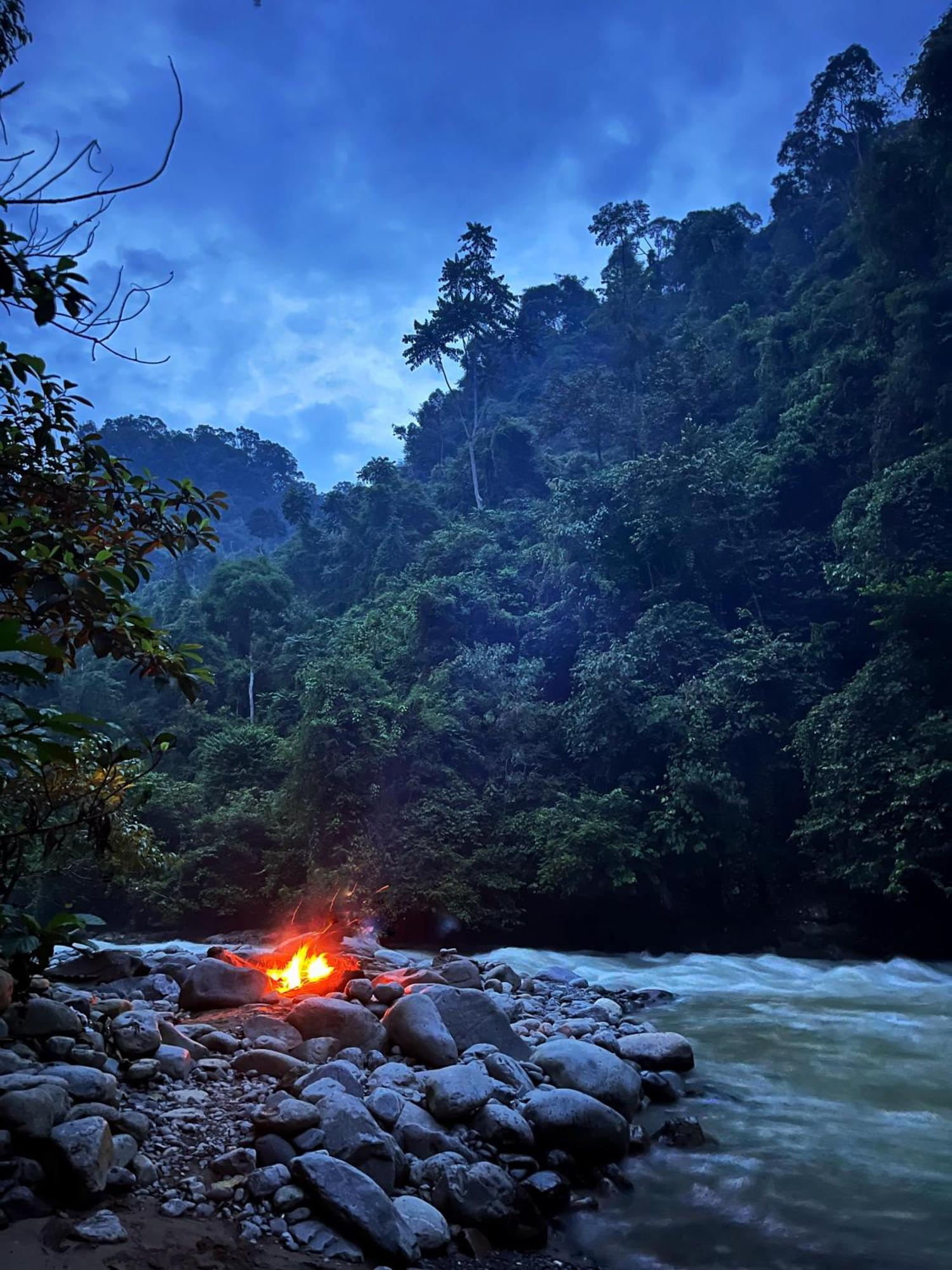 Charlys Little House Otel Bukit Lawang Dış mekan fotoğraf