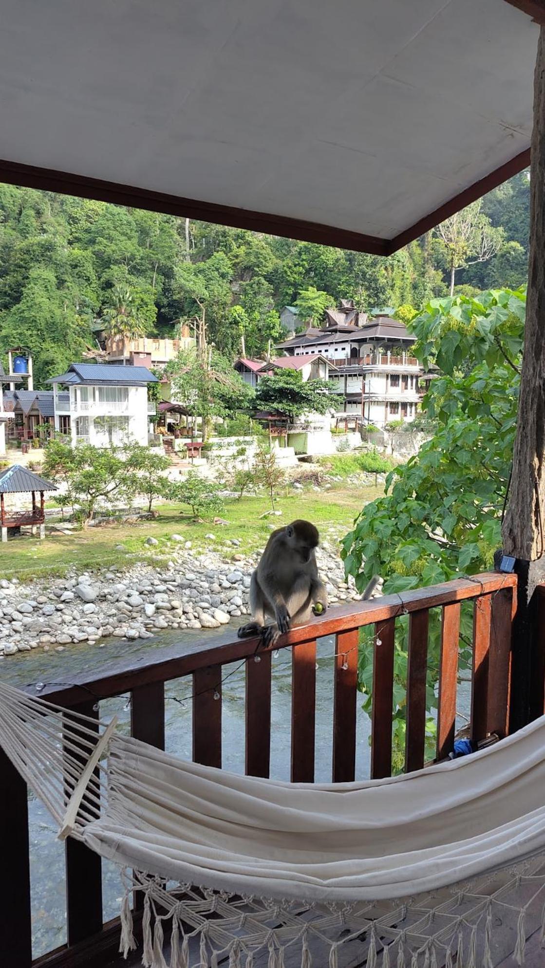 Charlys Little House Otel Bukit Lawang Dış mekan fotoğraf