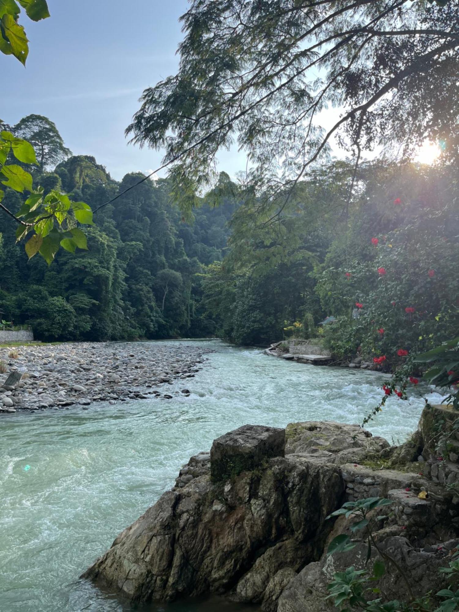 Charlys Little House Otel Bukit Lawang Dış mekan fotoğraf