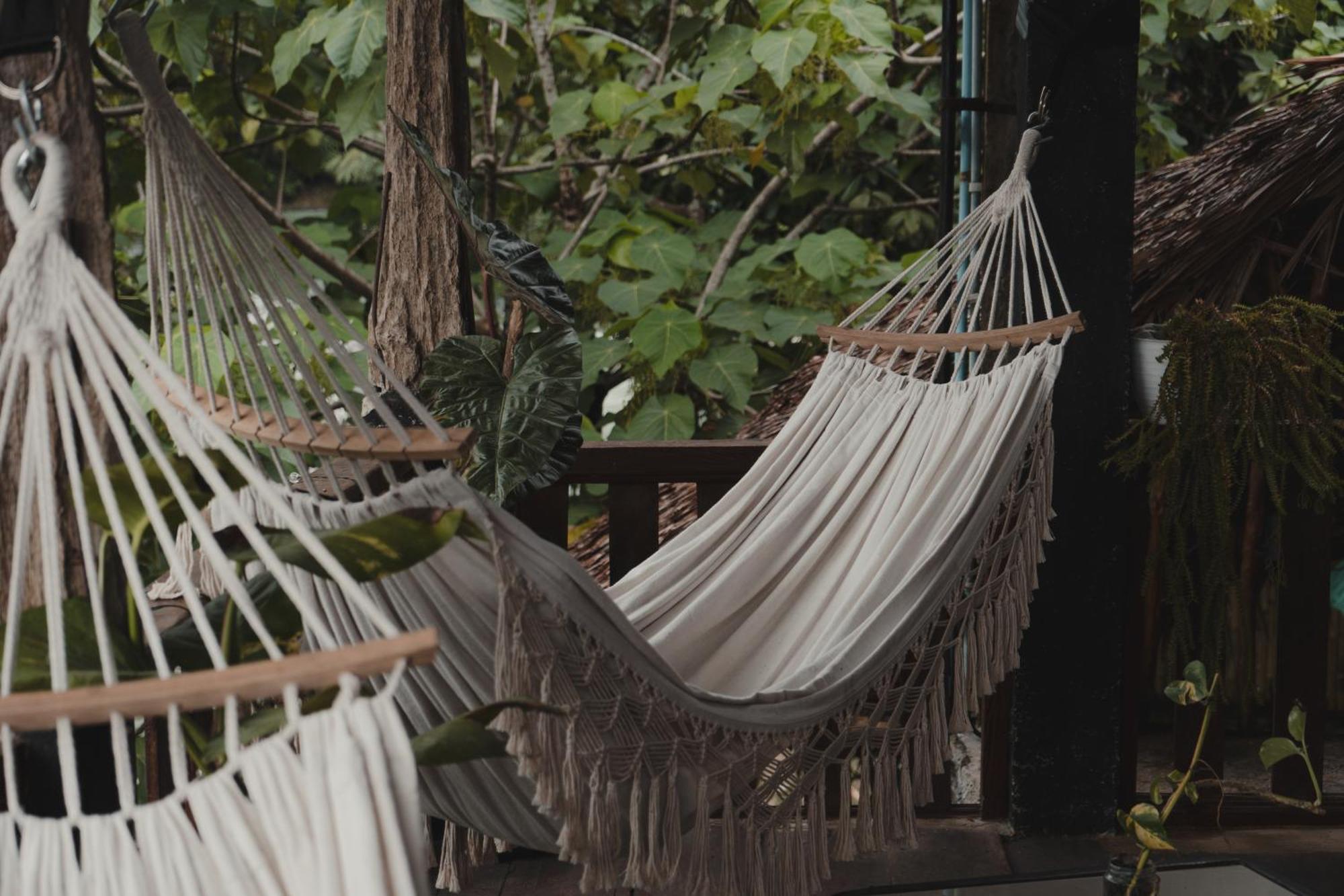 Charlys Little House Otel Bukit Lawang Dış mekan fotoğraf