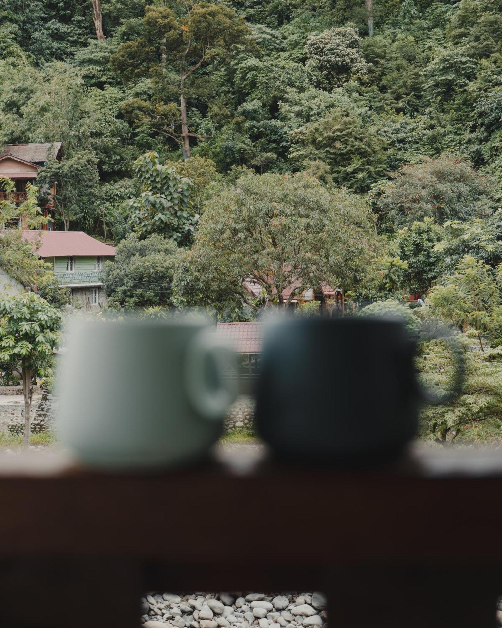 Charlys Little House Otel Bukit Lawang Dış mekan fotoğraf