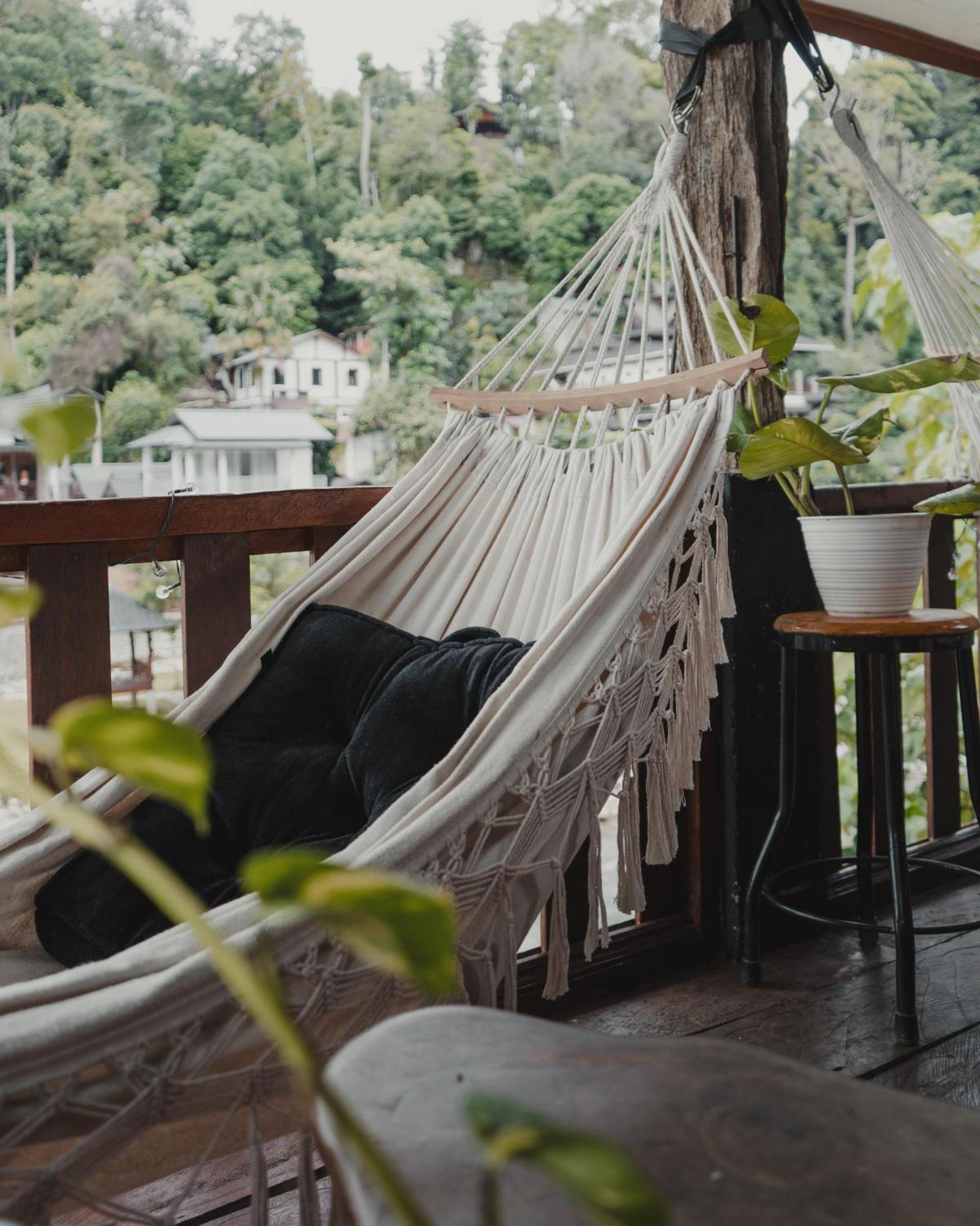 Charlys Little House Otel Bukit Lawang Dış mekan fotoğraf
